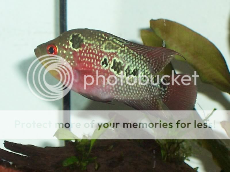 100_2476.jpg