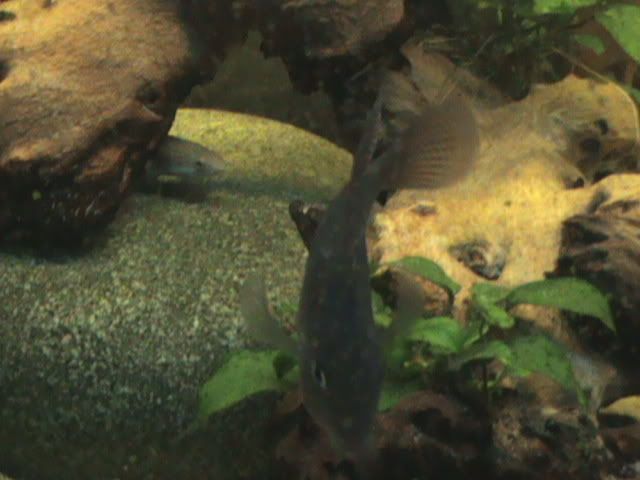DSC00192.jpg