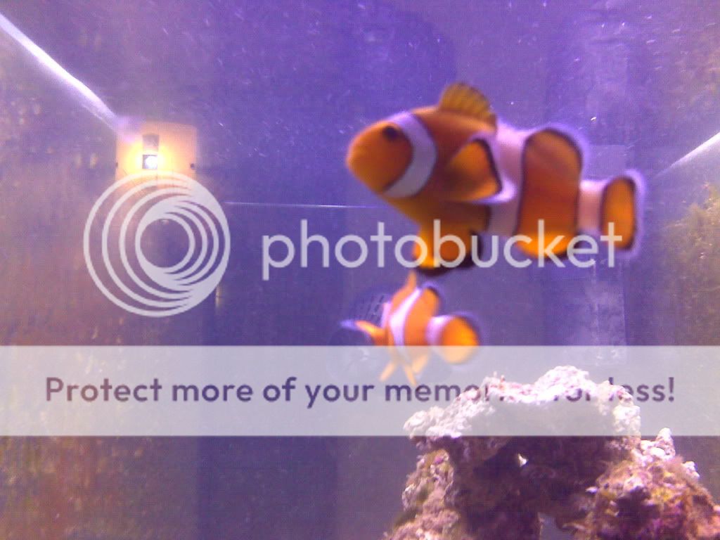 IMG00108.jpg