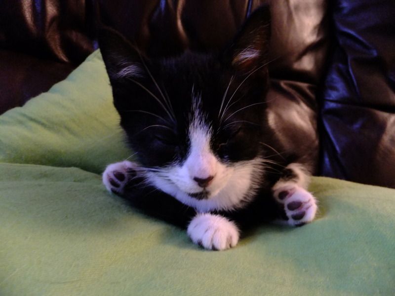 DSCF2939.jpg