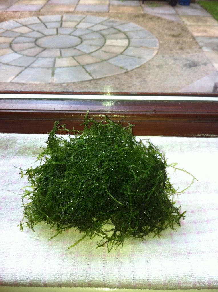 photo-33.jpg
