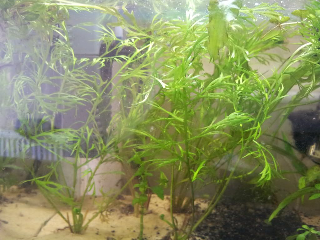 20120618_161548.jpg