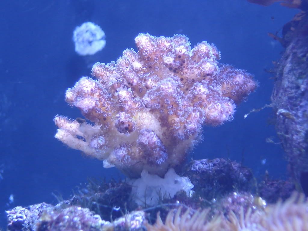 DSC01338.jpg