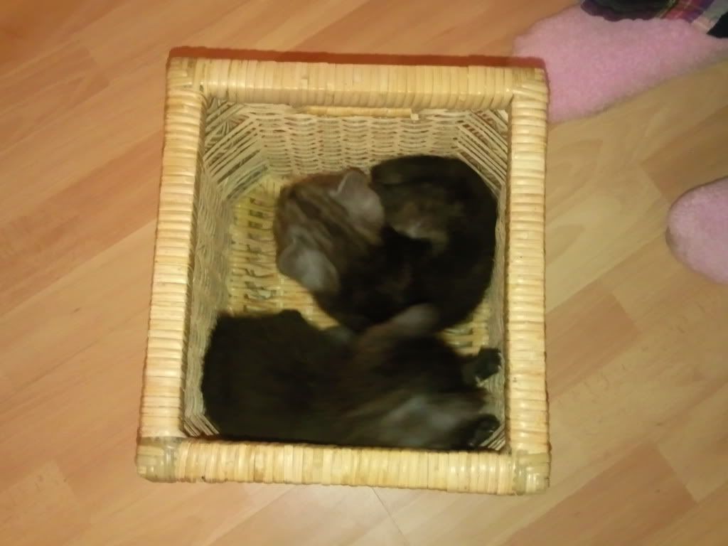 Photo023.jpg