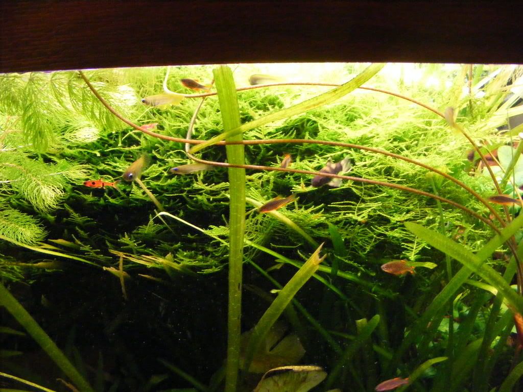 DSCF1522.jpg