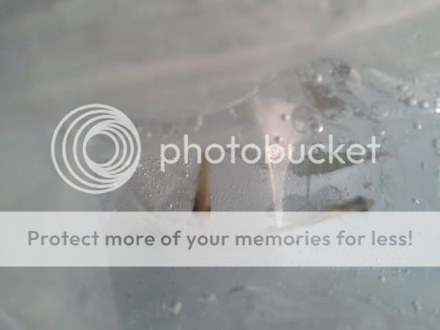 2011-08-13150543.jpg