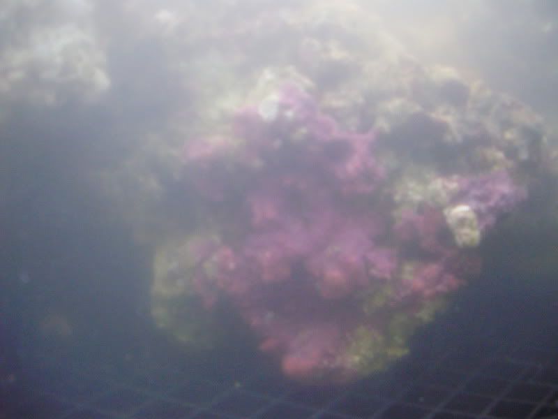 P9100009.jpg