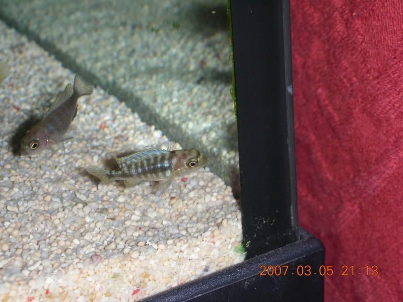 DSCN1619.jpg
