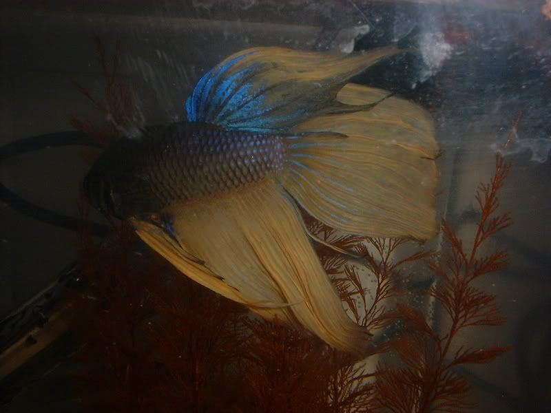 DSCF1620.jpg