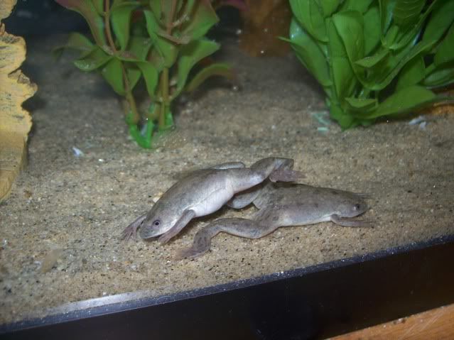 100_3298.jpg