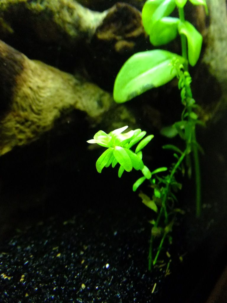 DSCF4528.jpg