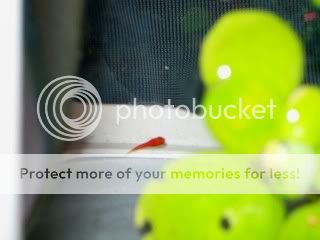 100_0005.jpg
