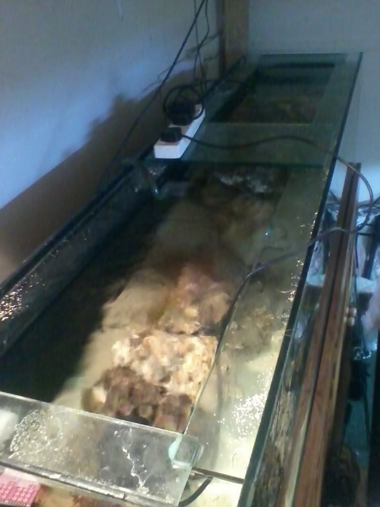 2011-06-13225521.jpg