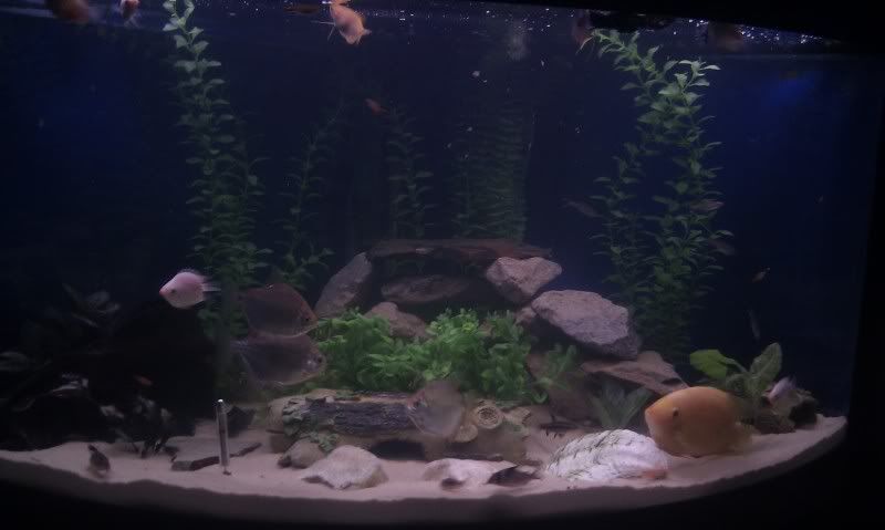 IMAG0406.jpg