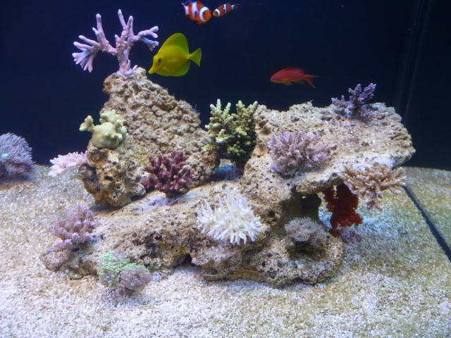 P1060290.jpg