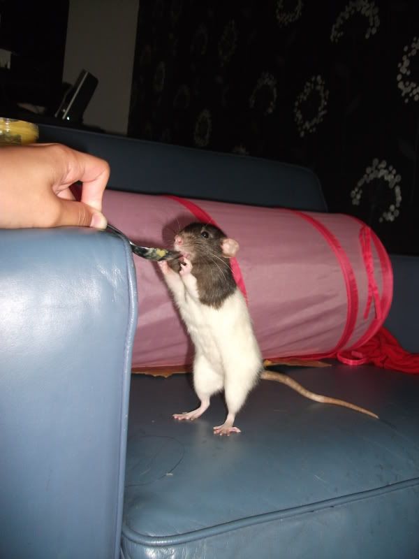 DSCF1582.jpg