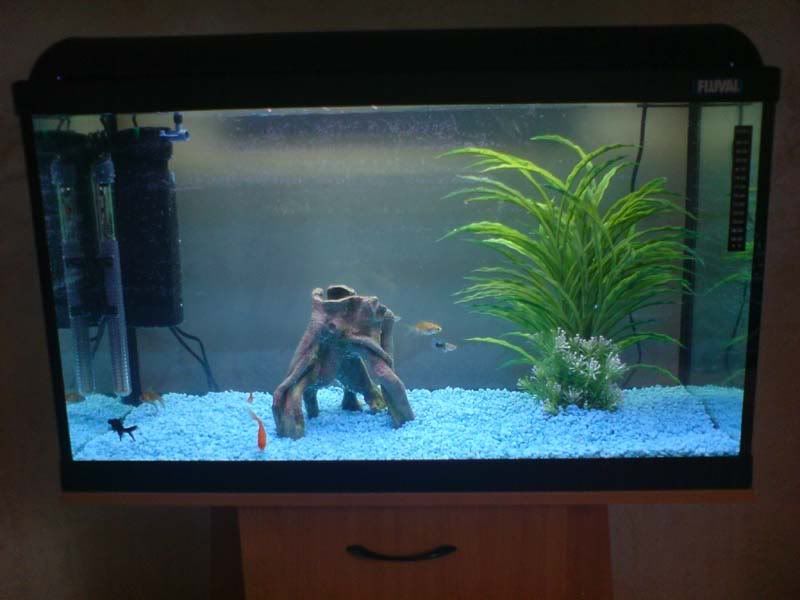 tank1.jpg