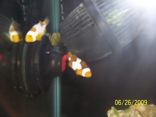 100_6965.jpg