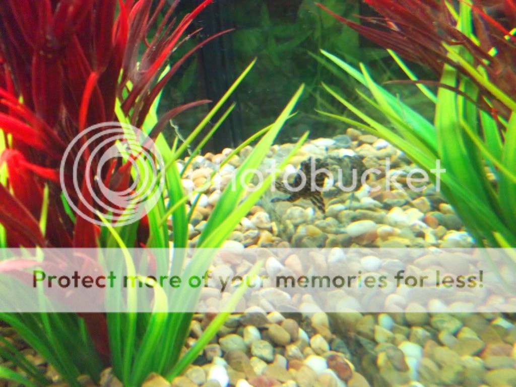 DSCF1289.jpg