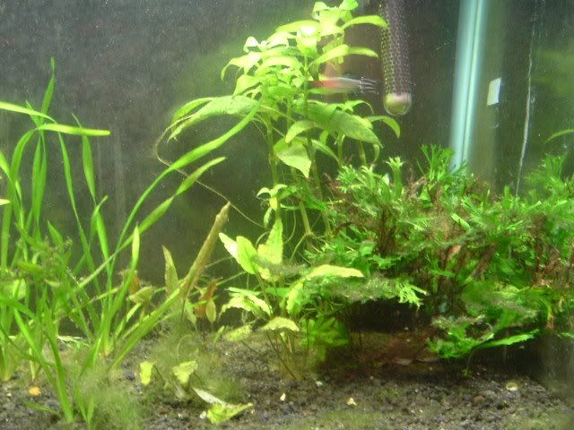 DSCF1423.jpg