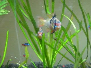 IMG_0278.jpg