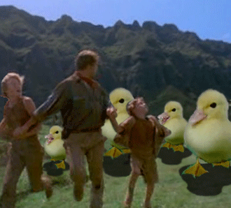 tumblr_lyd0vtjbre1rnz24lo1_400.gif