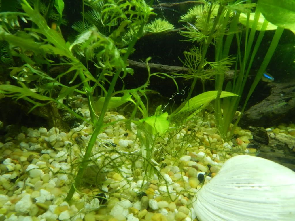 DSCN5389.jpg