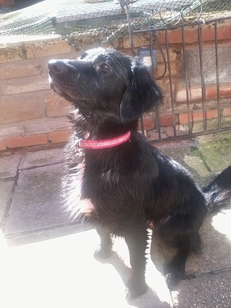 2011-03-20132455.jpg