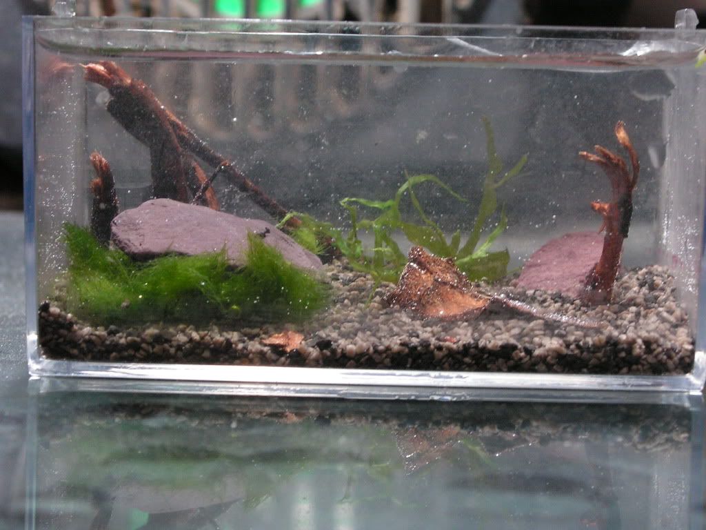 PICT1106.jpg