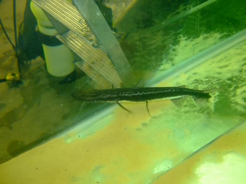DSCF2439.jpg