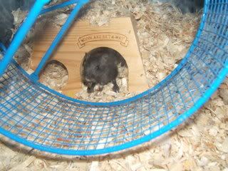 DSCF1381.jpg