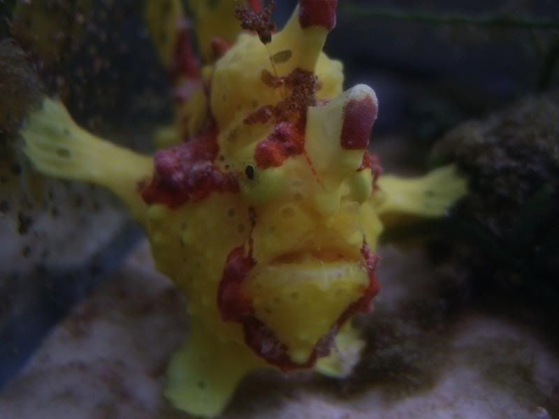 DSCF2902.jpg