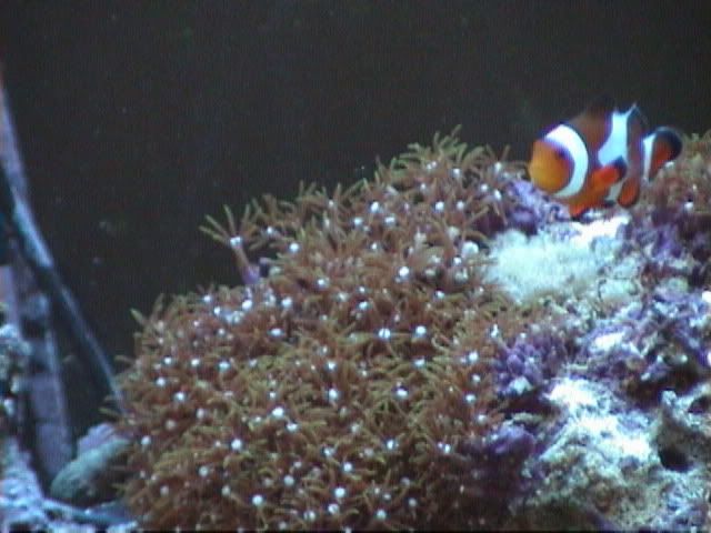 DSC00033.jpg