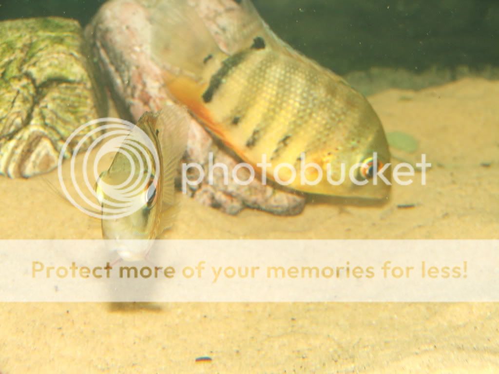 DSCF7771.jpg