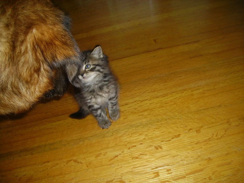 Picture341.jpg