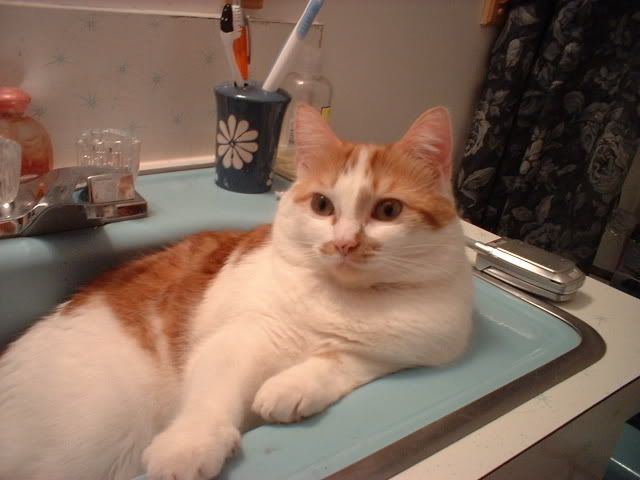 sinkchevy.jpg