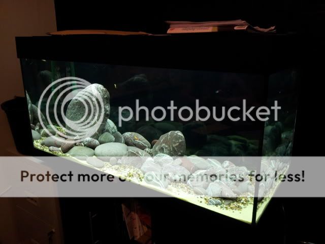 20121027_201128.jpg