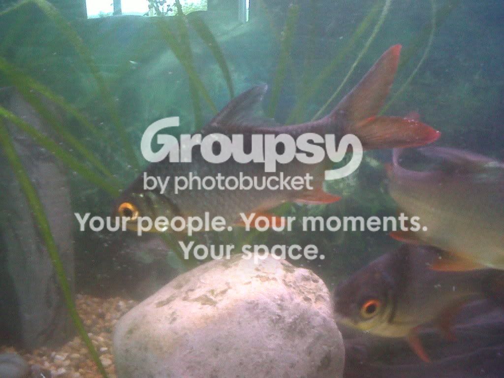 IMG00058-20110518-1659.jpg