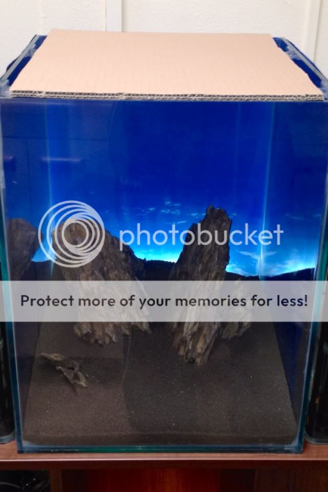 photo8.jpg