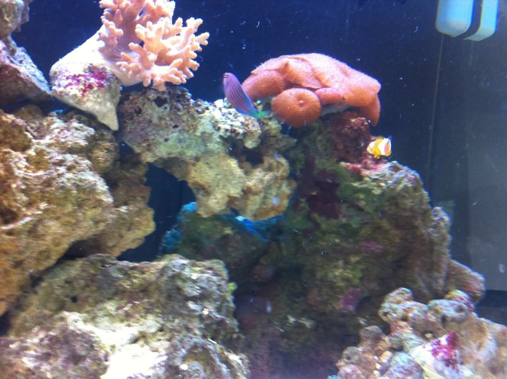 IMG_1115.jpg