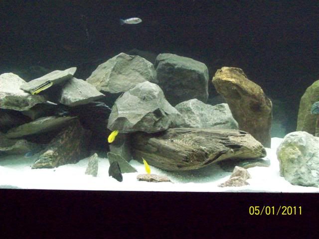 102_3640Small.jpg