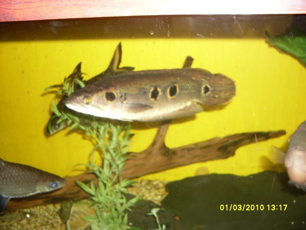 march2010080.jpg