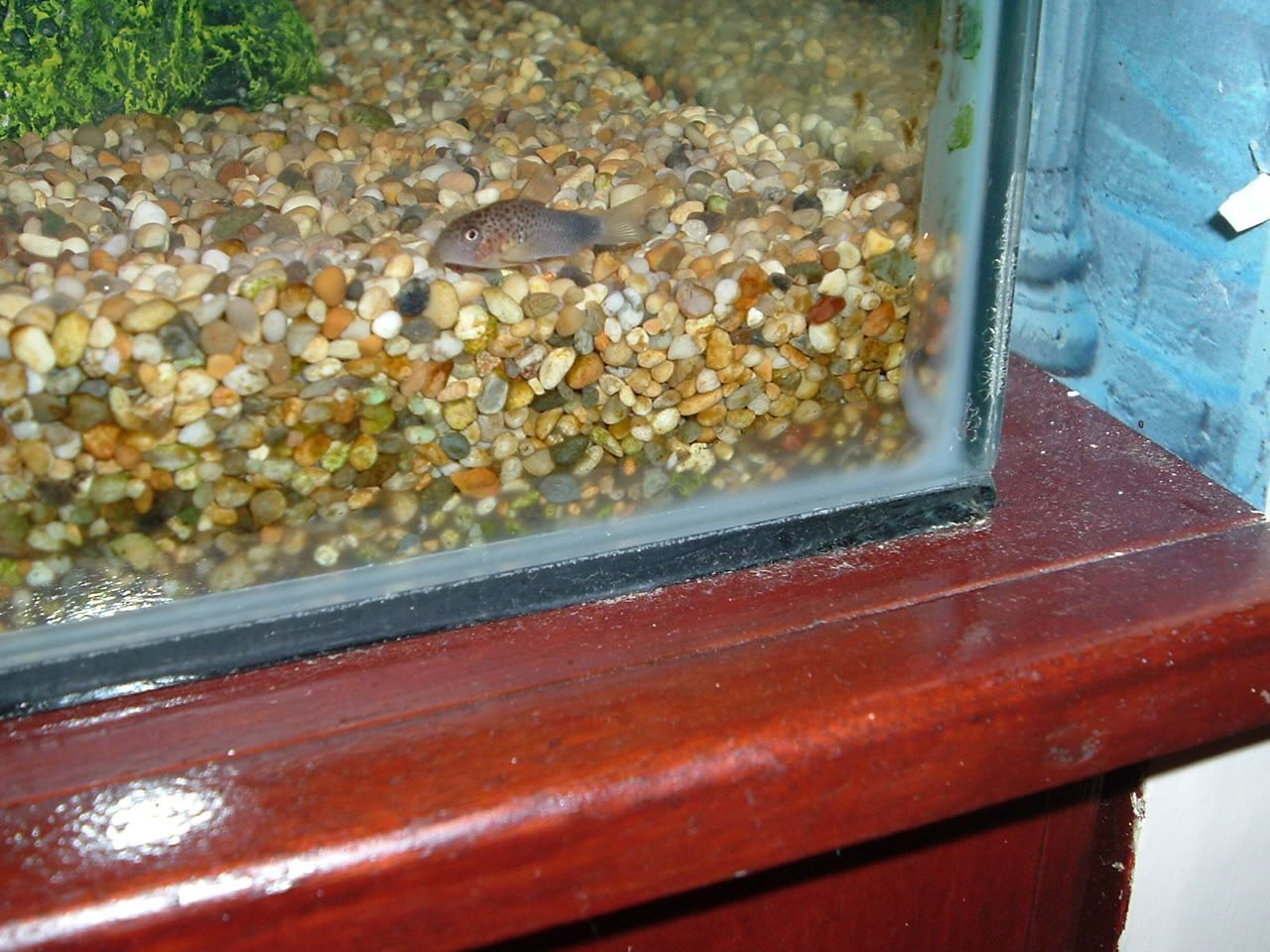 DSCF0817.jpg
