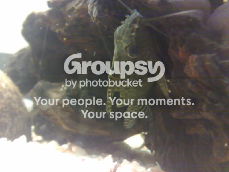 14052010370.jpg