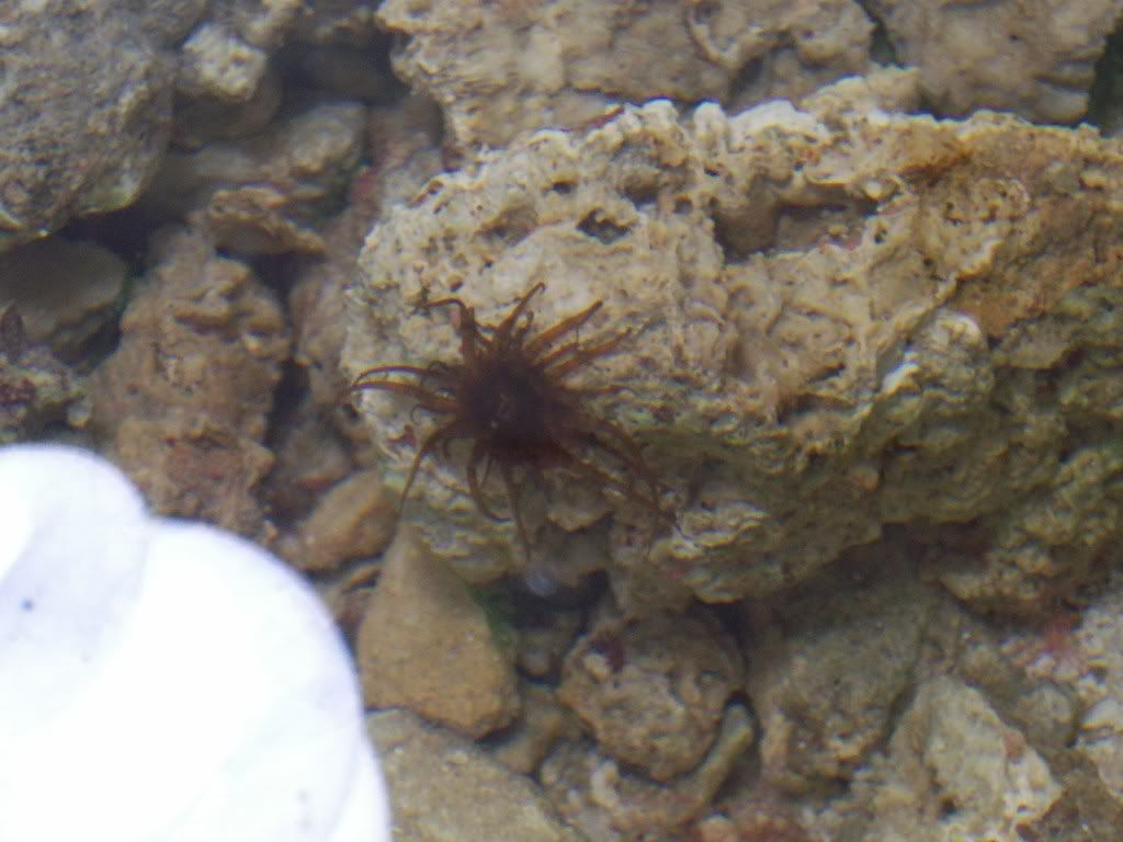 SUMP003.jpg