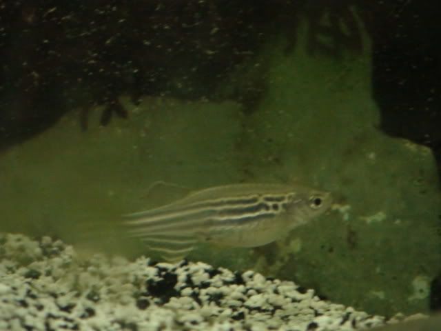 DSC00018.jpg