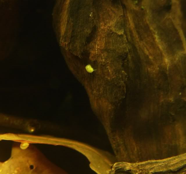 S7003150.jpg