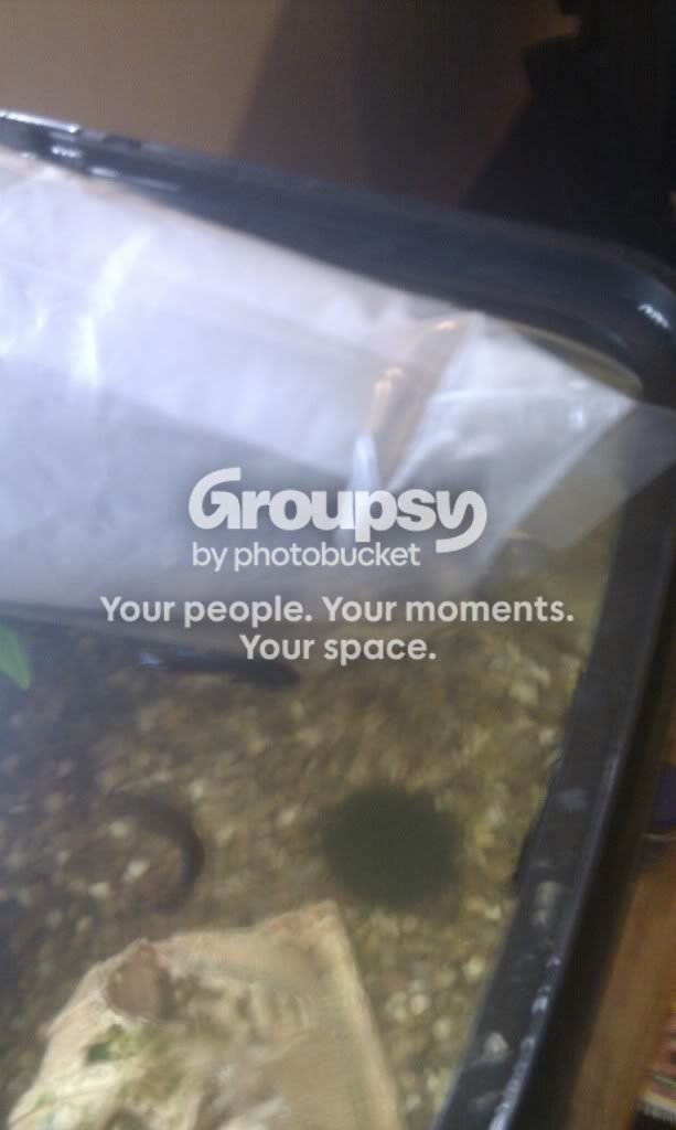 IMAG0033.jpg