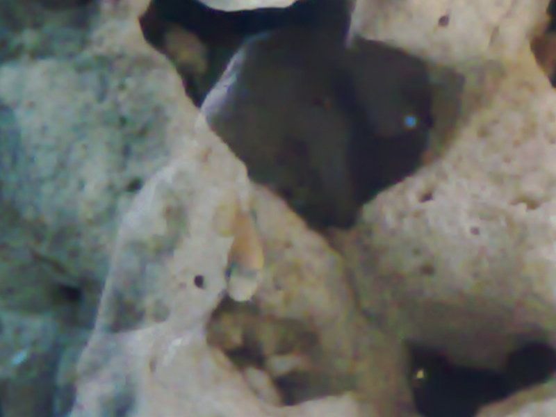 28052007010.jpg