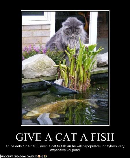 funny-pictures-cat-wants-to-fish.jpg